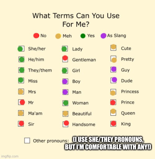 :] ( You can call me Starry or IA- ) | (I USE SHE/THEY PRONOUNS, BUT I’M COMFORTABLE WITH ANY!) | image tagged in pronouns sheet | made w/ Imgflip meme maker