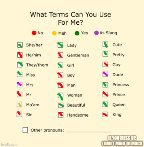 My Pronouns | IF YOU MESS UP, I DON'T MIND TO MUCH | image tagged in pronouns sheet,lgbtq,transgender,trans | made w/ Imgflip meme maker