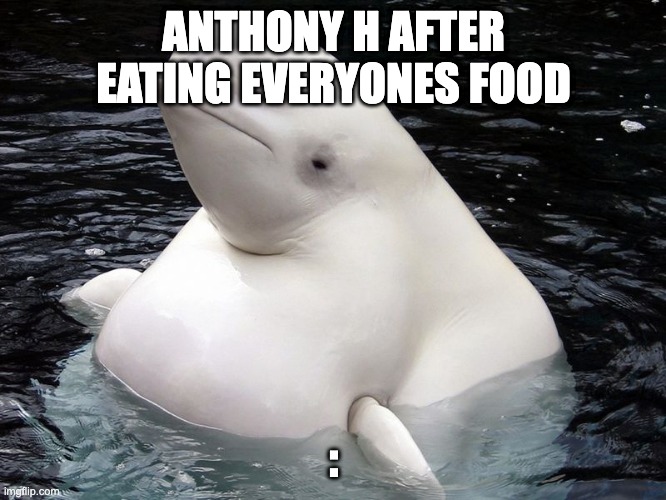 Fat Whale | ANTHONY H AFTER EATING EVERYONES FOOD; : | image tagged in fat whale | made w/ Imgflip meme maker