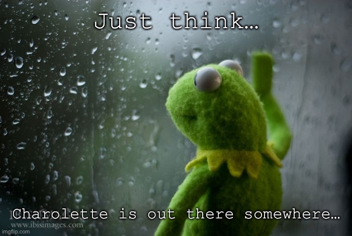 She’s out there somewhere… | Just think…; Charolette is out there somewhere… | image tagged in kermit window | made w/ Imgflip meme maker