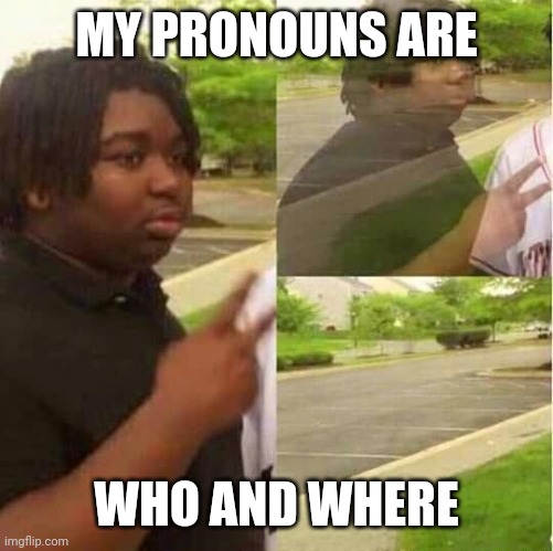 disappearing  | MY PRONOUNS ARE; WHO AND WHERE | image tagged in disappearing | made w/ Imgflip meme maker