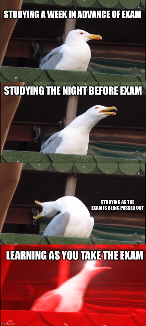 Inhaling Seagull Meme | STUDYING A WEEK IN ADVANCE OF EXAM; STUDYING THE NIGHT BEFORE EXAM; STUDYING AS THE EXAM IS BEING PASSED OUT; LEARNING AS YOU TAKE THE EXAM | image tagged in memes,inhaling seagull | made w/ Imgflip meme maker