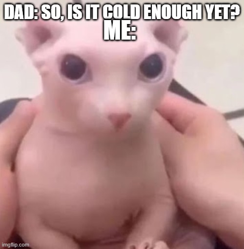Its too cold. .mod note: wtf? | ME:; DAD: SO, IS IT COLD ENOUGH YET? | image tagged in bingus | made w/ Imgflip meme maker