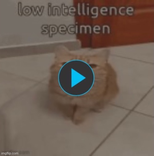 Epico | made w/ Imgflip meme maker