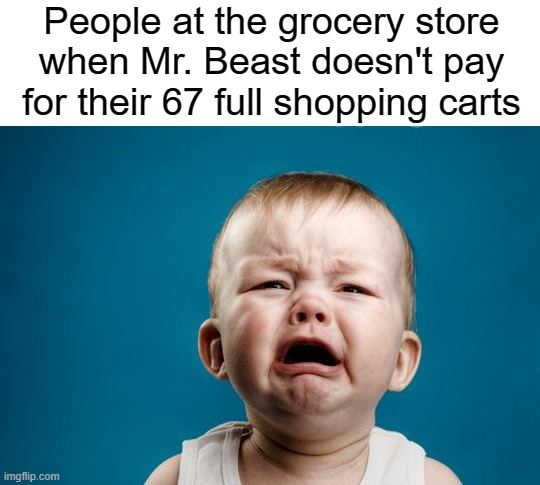 "I WAS GOING TO TAKE ADVANTAGE OF YOU WHY DID YOU BACK OUT????" |  People at the grocery store when Mr. Beast doesn't pay for their 67 full shopping carts | image tagged in baby crying | made w/ Imgflip meme maker