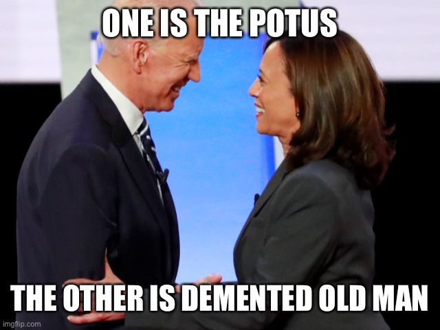 Have the Dems already used the 25th on Joe? | ONE IS THE POTUS; THE OTHER IS DEMENTED OLD MAN | image tagged in biden harris,president harris,joe gaffes again,how many times | made w/ Imgflip meme maker