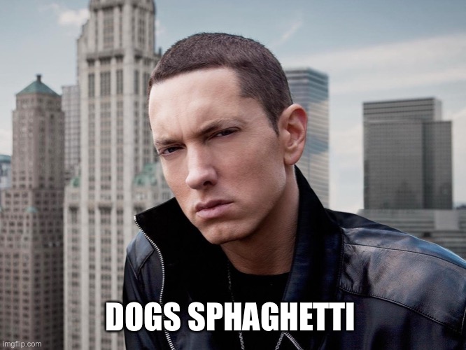 moms spaghetti | DOGS SPAGHETTI | image tagged in moms spaghetti | made w/ Imgflip meme maker