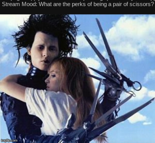 image tagged in free hugs from edward scissorhands | made w/ Imgflip meme maker