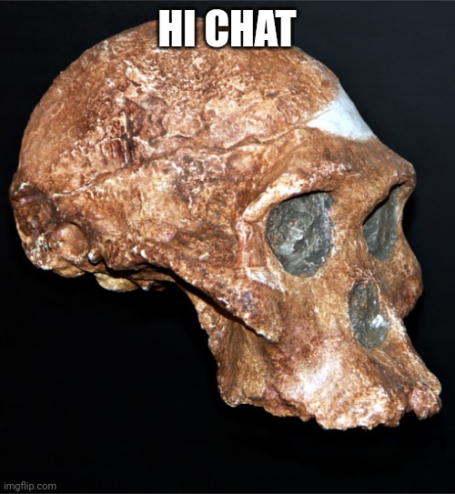 skull | HI CHAT | image tagged in skull | made w/ Imgflip meme maker