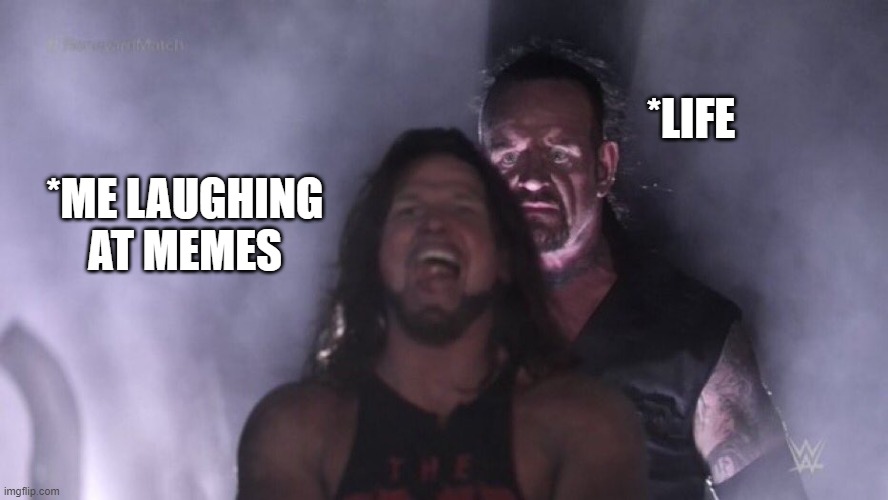 AJ Styles & Undertaker | *LIFE; *ME LAUGHING AT MEMES | image tagged in aj styles undertaker | made w/ Imgflip meme maker