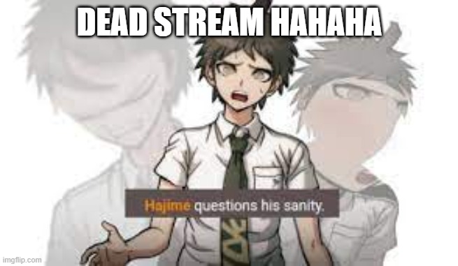 hajime questions his sanity | DEAD STREAM HAHAHA | image tagged in hajime questions his sanity | made w/ Imgflip meme maker