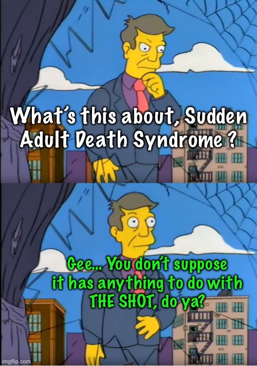 Gee, could it?!   Nah | What’s this about, Sudden
Adult Death Syndrome ? Gee… You don’t suppose
it has anything to do with
THE SHOT, do ya? | image tagged in skinner out of touch,so sad,stoopid people vote democrat,because theyre stoopid,stoopid dummyrats,so kissmyrepublicanass | made w/ Imgflip meme maker