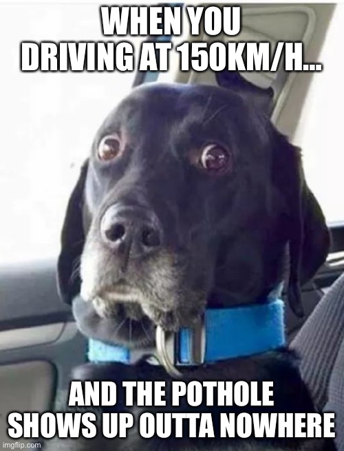 Lord help us | WHEN YOU DRIVING AT 150KM/H…; AND THE POTHOLE SHOWS UP OUTTA NOWHERE | image tagged in worried woofer | made w/ Imgflip meme maker