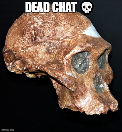 skull | DEAD CHAT 💀 | image tagged in skull | made w/ Imgflip meme maker