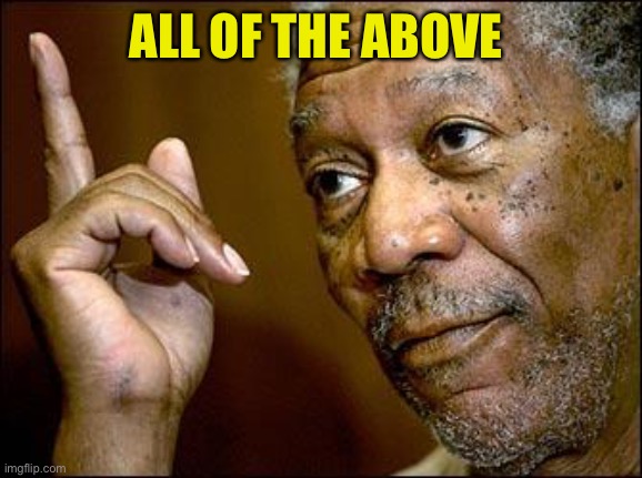 This Morgan Freeman | ALL OF THE ABOVE | image tagged in this morgan freeman | made w/ Imgflip meme maker