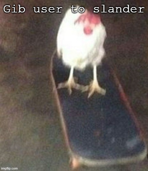 now | Gib user to slander | image tagged in dog on skateboard | made w/ Imgflip meme maker