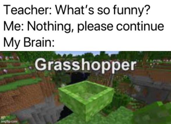 bruh what is that | image tagged in eye roll,grasshopper,memes | made w/ Imgflip meme maker