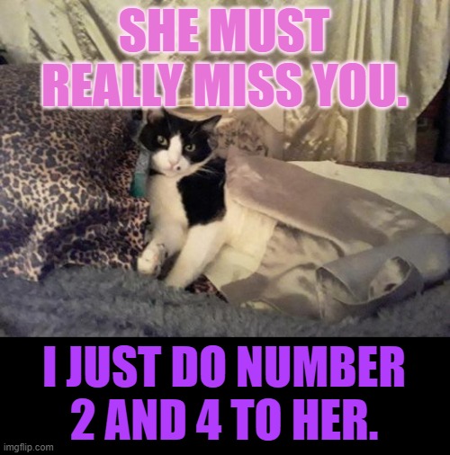 SHE MUST REALLY MISS YOU. I JUST DO NUMBER 2 AND 4 TO HER. | made w/ Imgflip meme maker