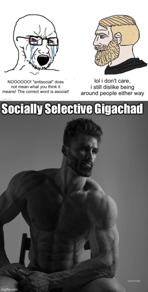 Credit zenithspeed for top image | Socially Selective Gigachad | image tagged in giga chad,socially awesome awkward penguin,socially selective,antisocial,asocial | made w/ Imgflip meme maker