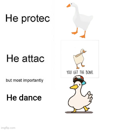 Goose and duck gang | He dance | image tagged in he protec he attac but most importantly | made w/ Imgflip meme maker