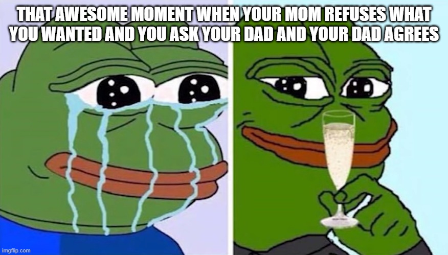Relatable? | THAT AWESOME MOMENT WHEN YOUR MOM REFUSES WHAT YOU WANTED AND YOU ASK YOUR DAD AND YOUR DAD AGREES | image tagged in memes | made w/ Imgflip meme maker