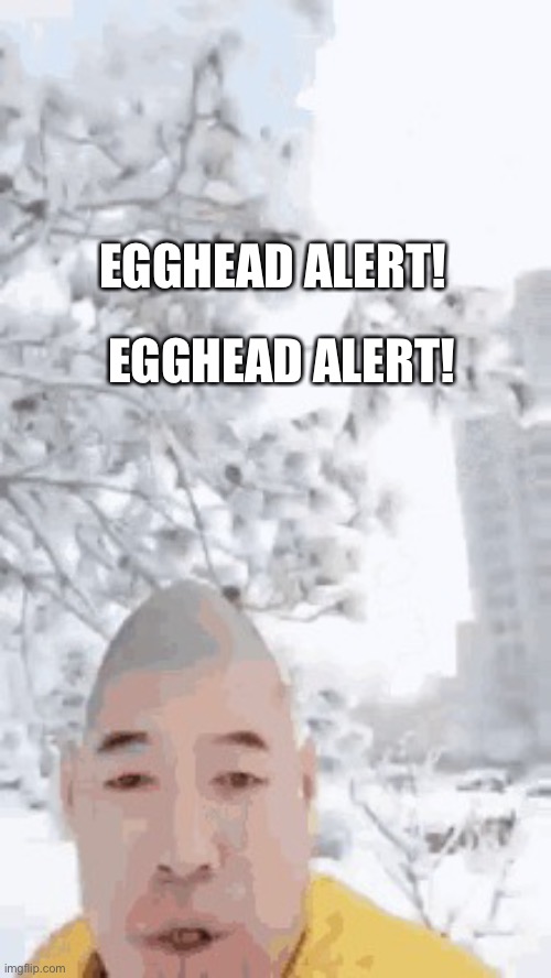 egghead | EGGHEAD ALERT! EGGHEAD ALERT! | image tagged in egghead,eggy,egg,memes | made w/ Imgflip meme maker