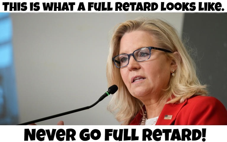 This is What a Full Retard Looks Like | image tagged in liz cheney,full retard,never go full retard,rino,get a clue,delusional | made w/ Imgflip meme maker