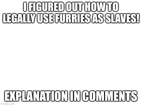 Blank White Template | I FIGURED OUT HOW TO LEGALLY USE FURRIES AS SLAVES! EXPLANATION IN COMMENTS | image tagged in blank white template | made w/ Imgflip meme maker