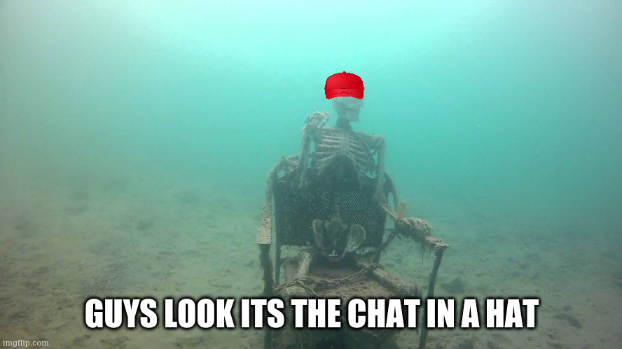 nobody posted a meme in msmg in 0.7 picoseconds? nows your chance! Yell "dead chat xd" to become a cool user | GUYS LOOK ITS THE CHAT IN A HAT | image tagged in skeleton underwater | made w/ Imgflip meme maker