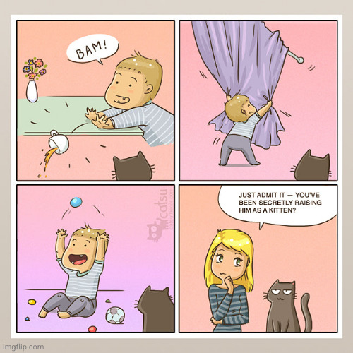 The kid acts just like a kitten | image tagged in cat,comics | made w/ Imgflip meme maker