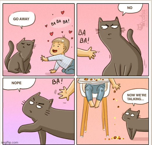 The cat only likes the kid at dinner time | image tagged in cat,kids,comics | made w/ Imgflip meme maker