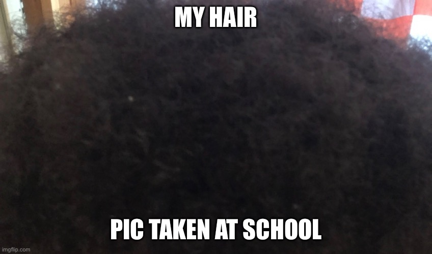 wow | MY HAIR; PIC TAKEN AT SCHOOL | made w/ Imgflip meme maker