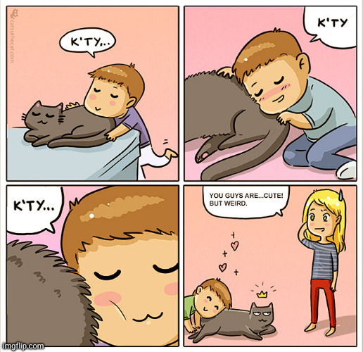 Kitty gets his snuggles | image tagged in cat,comics | made w/ Imgflip meme maker