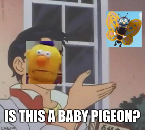 is this a baby pigeon? | IS THIS A BABY PIGEON? | image tagged in memes,is this a pigeon | made w/ Imgflip meme maker