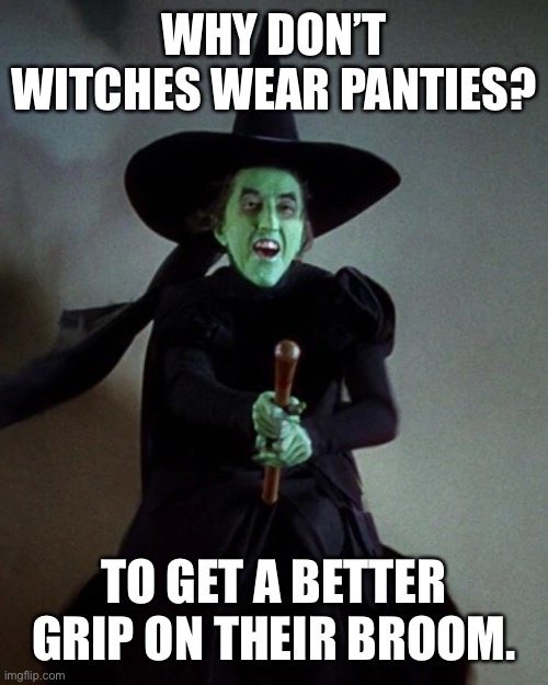 Wicked Witch on Broom | WHY DON’T WITCHES WEAR PANTIES? TO GET A BETTER GRIP ON THEIR BROOM. | image tagged in wicked witch on broom | made w/ Imgflip meme maker