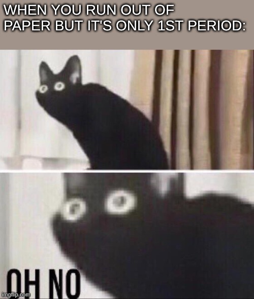 Oh no cat | WHEN YOU RUN OUT OF PAPER BUT IT'S ONLY 1ST PERIOD: | image tagged in oh no cat,paper,loss,high school,disaster | made w/ Imgflip meme maker