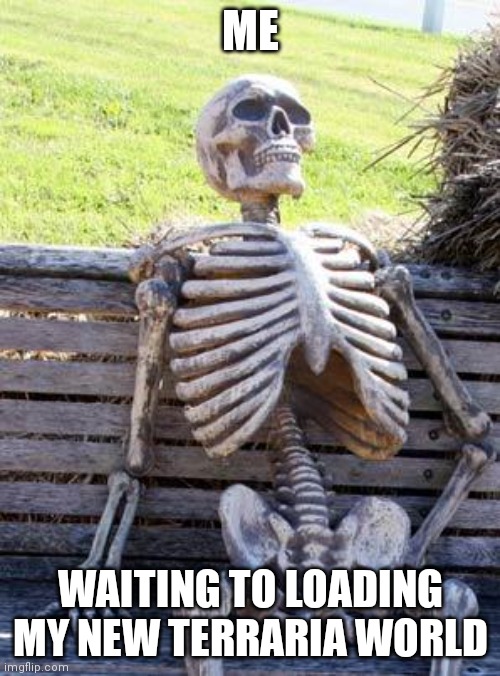 Waiting Skeleton Meme | ME; WAITING TO LOADING MY NEW TERRARIA WORLD | image tagged in memes,waiting skeleton,terraria | made w/ Imgflip meme maker