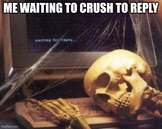 skeleton computer | ME WAITING TO CRUSH TO REPLY | image tagged in skeleton computer | made w/ Imgflip meme maker