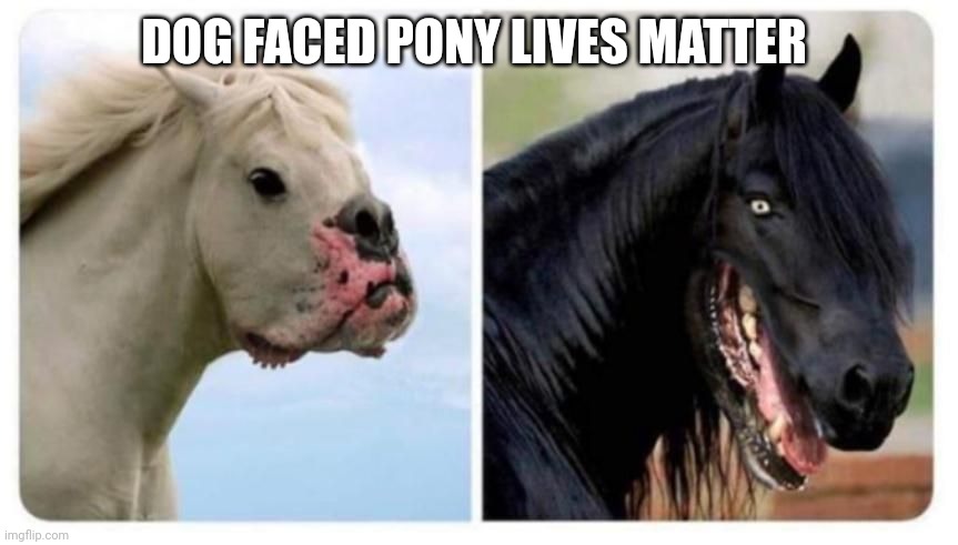 Dog faced ponies | DOG FACED PONY LIVES MATTER | image tagged in dog faced ponies | made w/ Imgflip meme maker