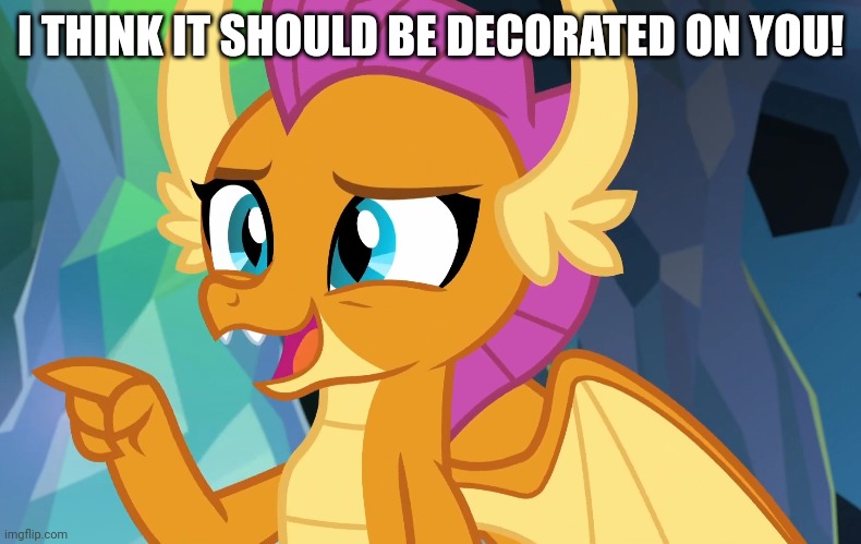 I THINK IT SHOULD BE DECORATED ON YOU! | made w/ Imgflip meme maker