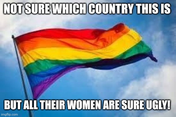 Rainbow flag | NOT SURE WHICH COUNTRY THIS IS; BUT ALL THEIR WOMEN ARE SURE UGLY! | image tagged in rainbow flag | made w/ Imgflip meme maker