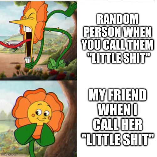 This is true | RANDOM PERSON WHEN YOU CALL THEM  "LITTLE SHIT"; MY FRIEND WHEN I CALL HER "LITTLE SHIT" | image tagged in cuphead flower | made w/ Imgflip meme maker