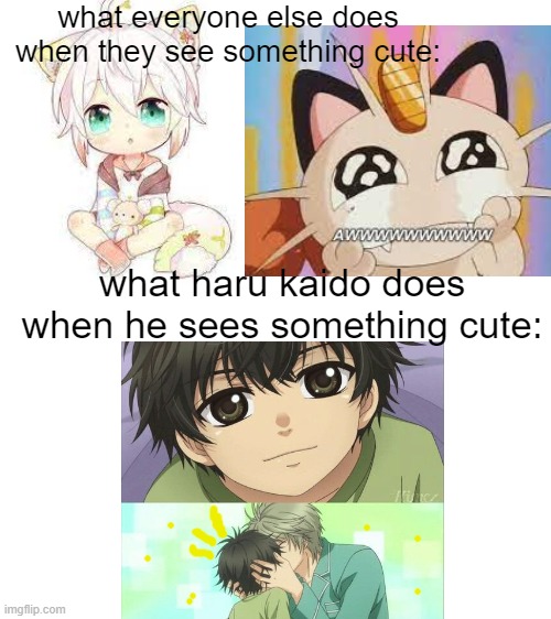 what haru does when he see cute ren | what everyone else does when they see something cute:; what haru kaido does when he sees something cute: | image tagged in blank white template,super lovers | made w/ Imgflip meme maker