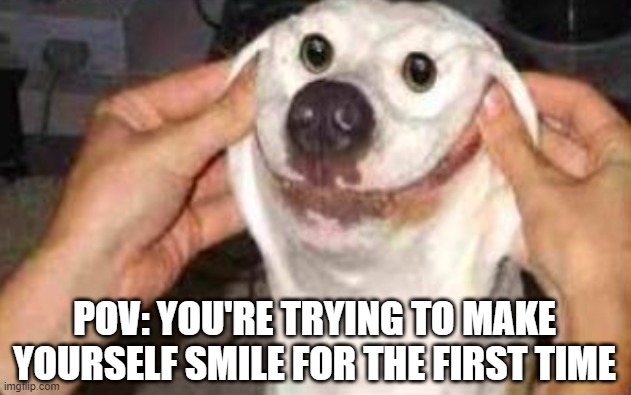 I'm very sad :D | POV: YOU'RE TRYING TO MAKE YOURSELF SMILE FOR THE FIRST TIME | image tagged in haha,woof | made w/ Imgflip meme maker