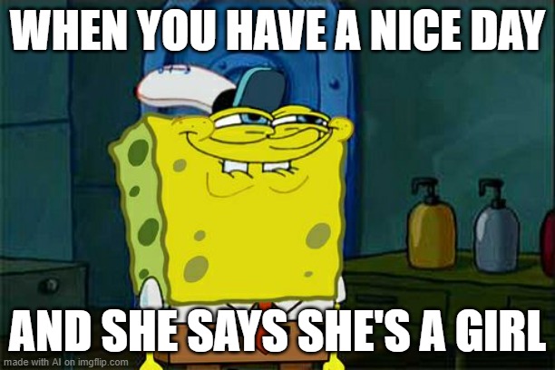 Don't You Squidward Meme | WHEN YOU HAVE A NICE DAY; AND SHE SAYS SHE'S A GIRL | image tagged in memes,don't you squidward | made w/ Imgflip meme maker