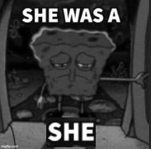 She was a he | image tagged in she was a he | made w/ Imgflip meme maker