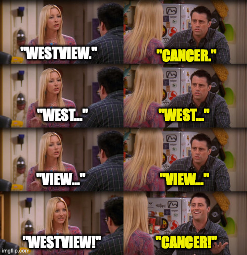 Joey Repeat After Me | "WESTVIEW."; "CANCER."; "WEST..."; "WEST..."; "VIEW..."; "VIEW..."; "WESTVIEW!"; "CANCER!" | image tagged in joey repeat after me | made w/ Imgflip meme maker