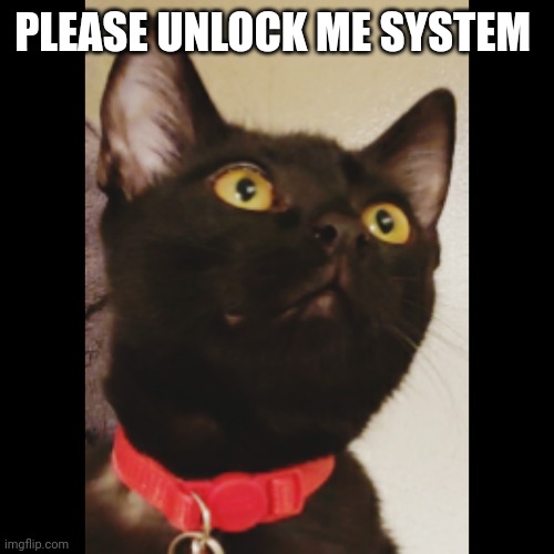 Please | PLEASE UNLOCK ME SYSTEM | image tagged in pokemon go | made w/ Imgflip meme maker