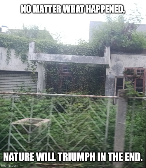 NO MATTER WHAT HAPPENED, NATURE WILL TRIUMPH IN THE END. | image tagged in memes,earth,might | made w/ Imgflip meme maker