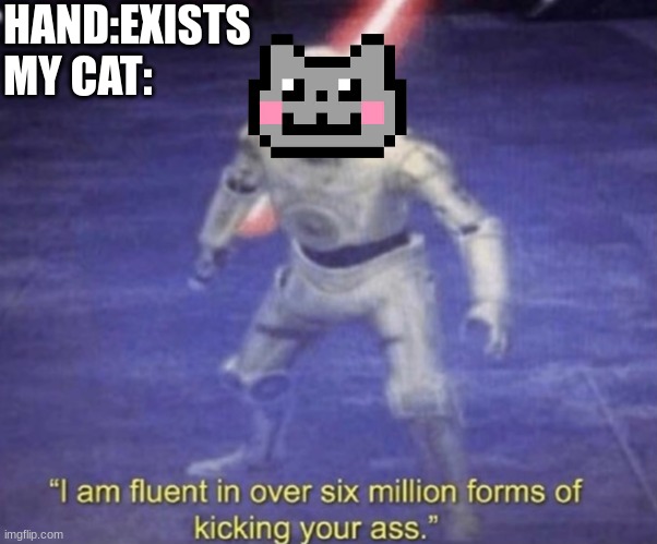 I am fluent in over six million forms of kicking your ass | HAND:EXISTS 
MY CAT: | image tagged in i am fluent in over six million forms of kicking your ass,cats,funny cats | made w/ Imgflip meme maker